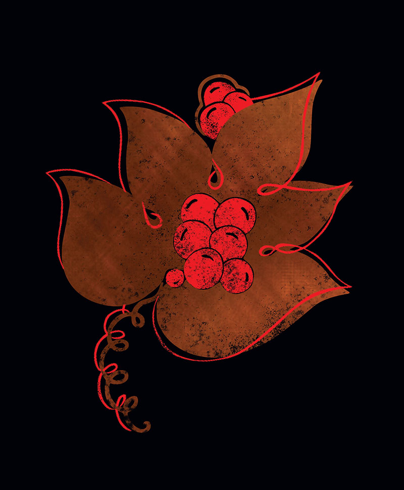 Reed Wines Papa Fleurie