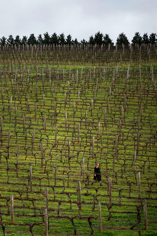Sierra Reed in the Vineyard